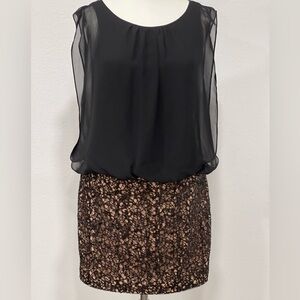 Elegant Black and Brown Mini Dress